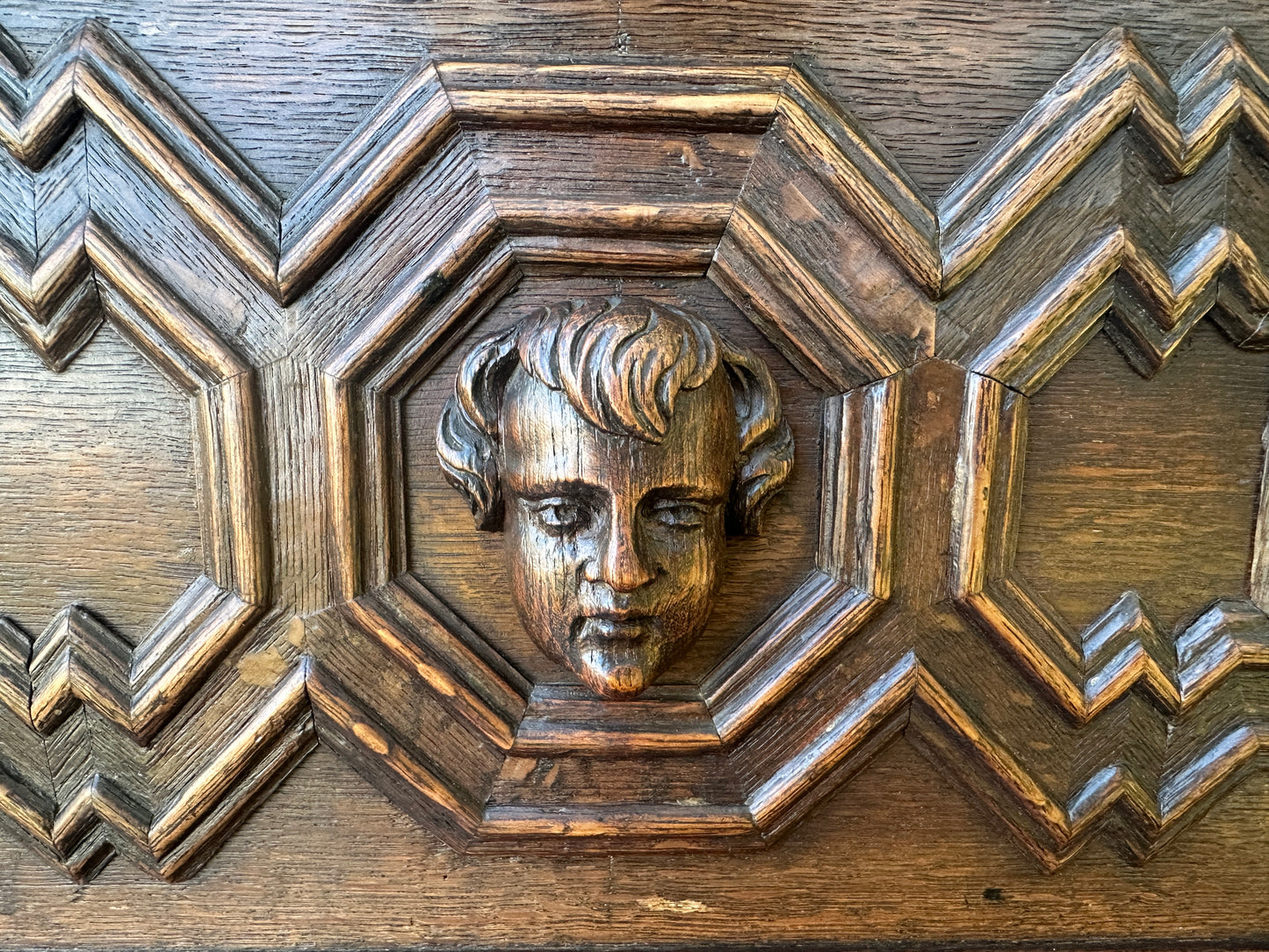 French Antique Carved Oak Wood Door