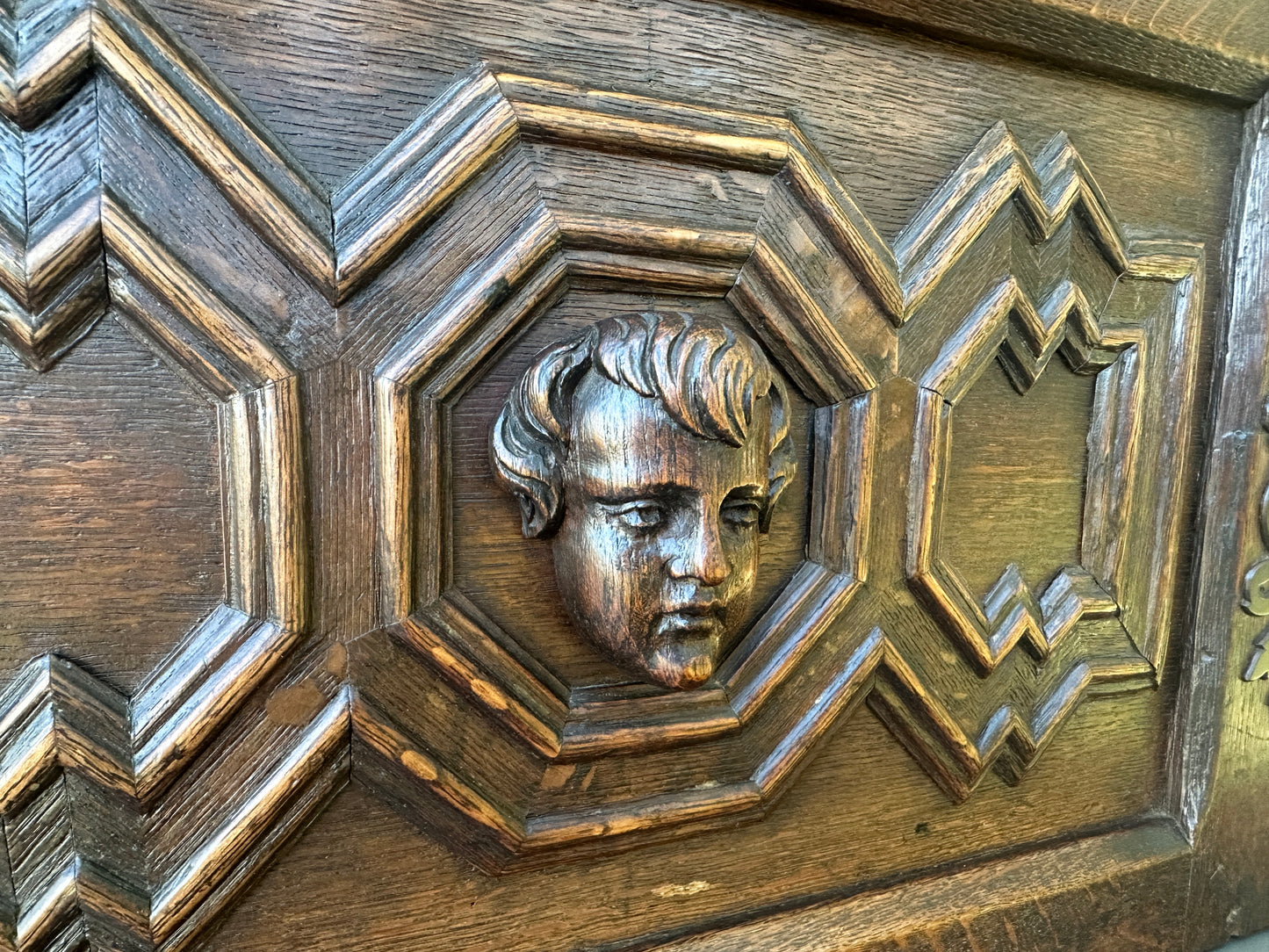 French Antique Carved Oak Wood Door