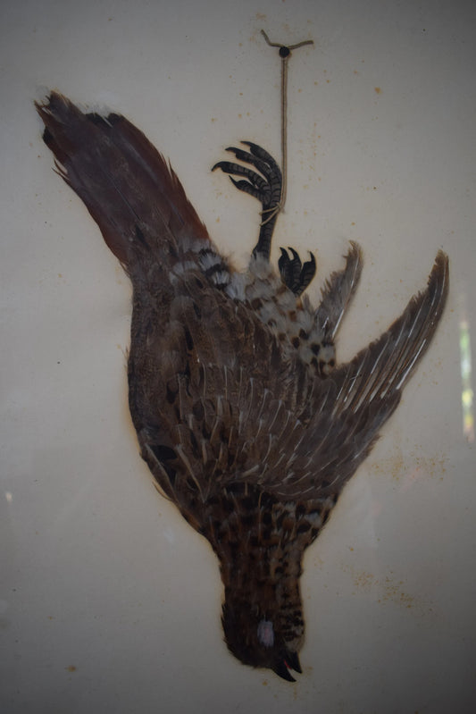 1920's Wall Hunt Trophy Drawing