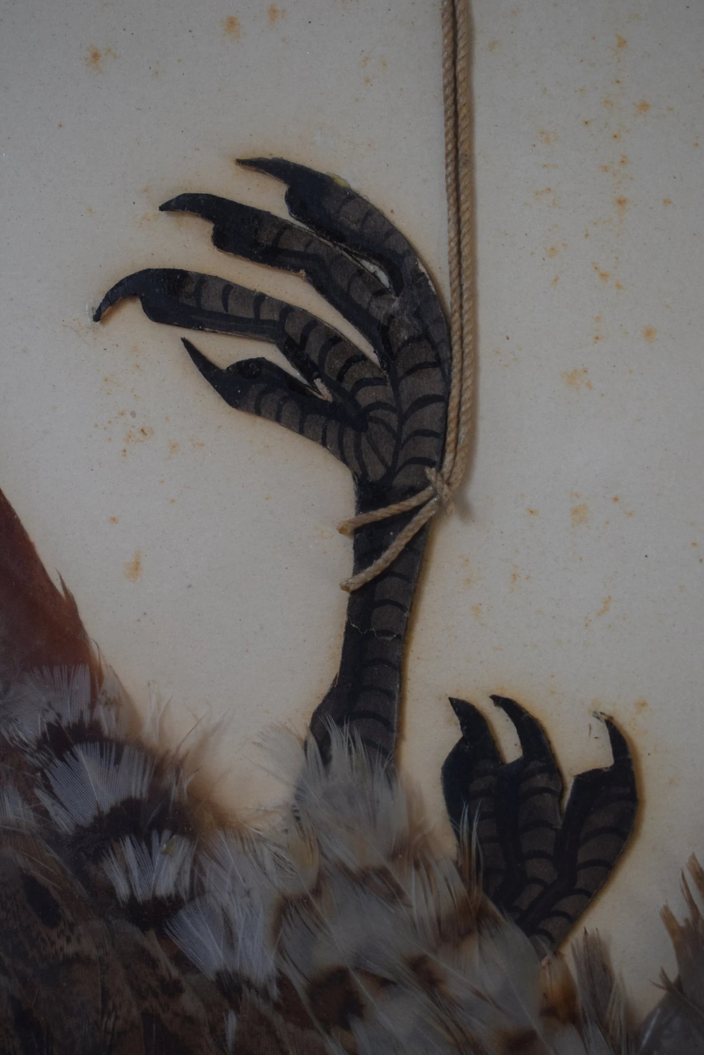 1920's Wall Hunt Trophy Drawing