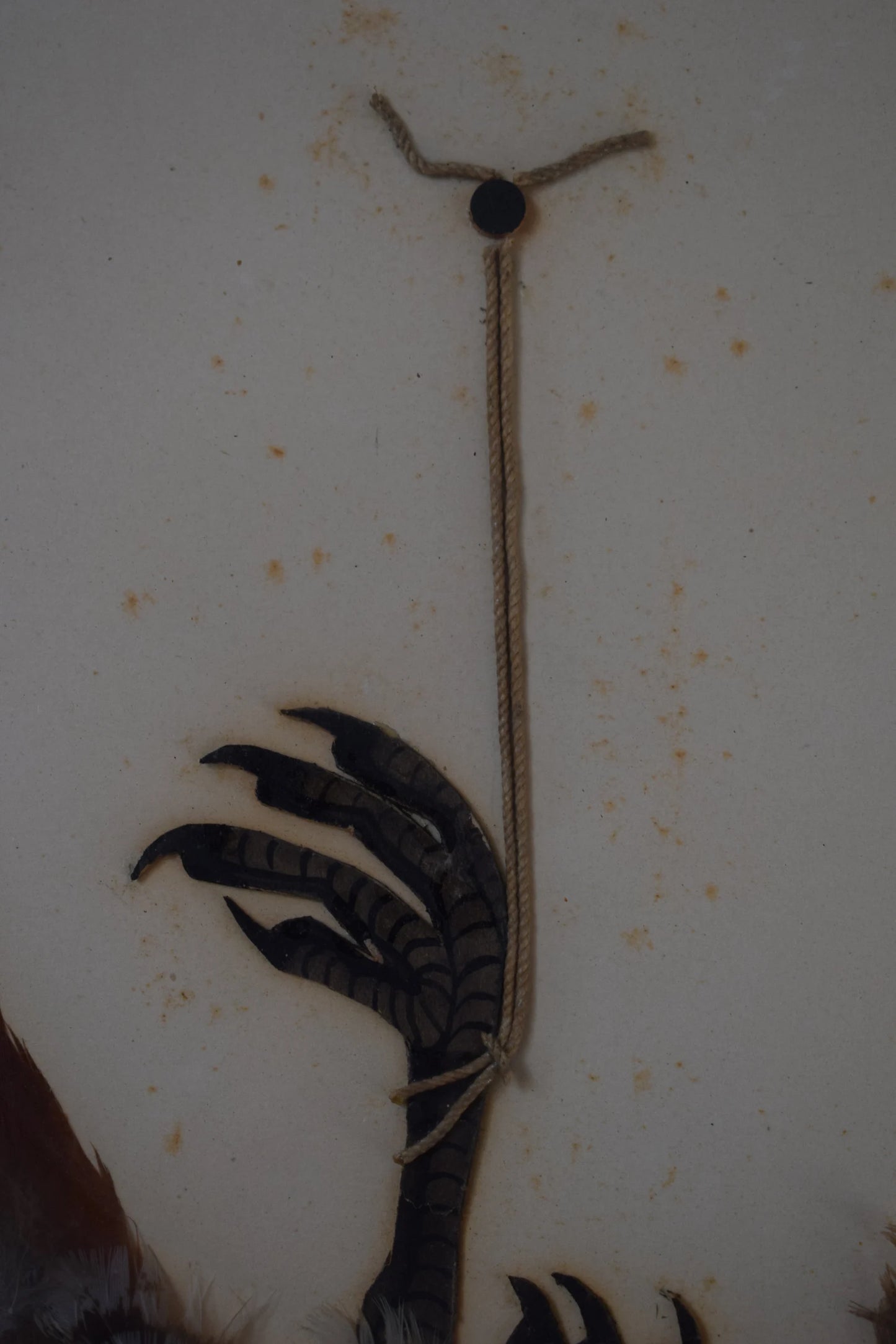 1920's Wall Hunt Trophy Drawing
