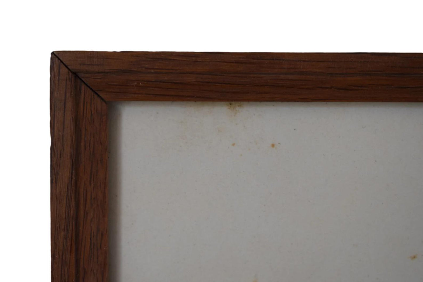 1920's Wall Hunt Trophy Drawing