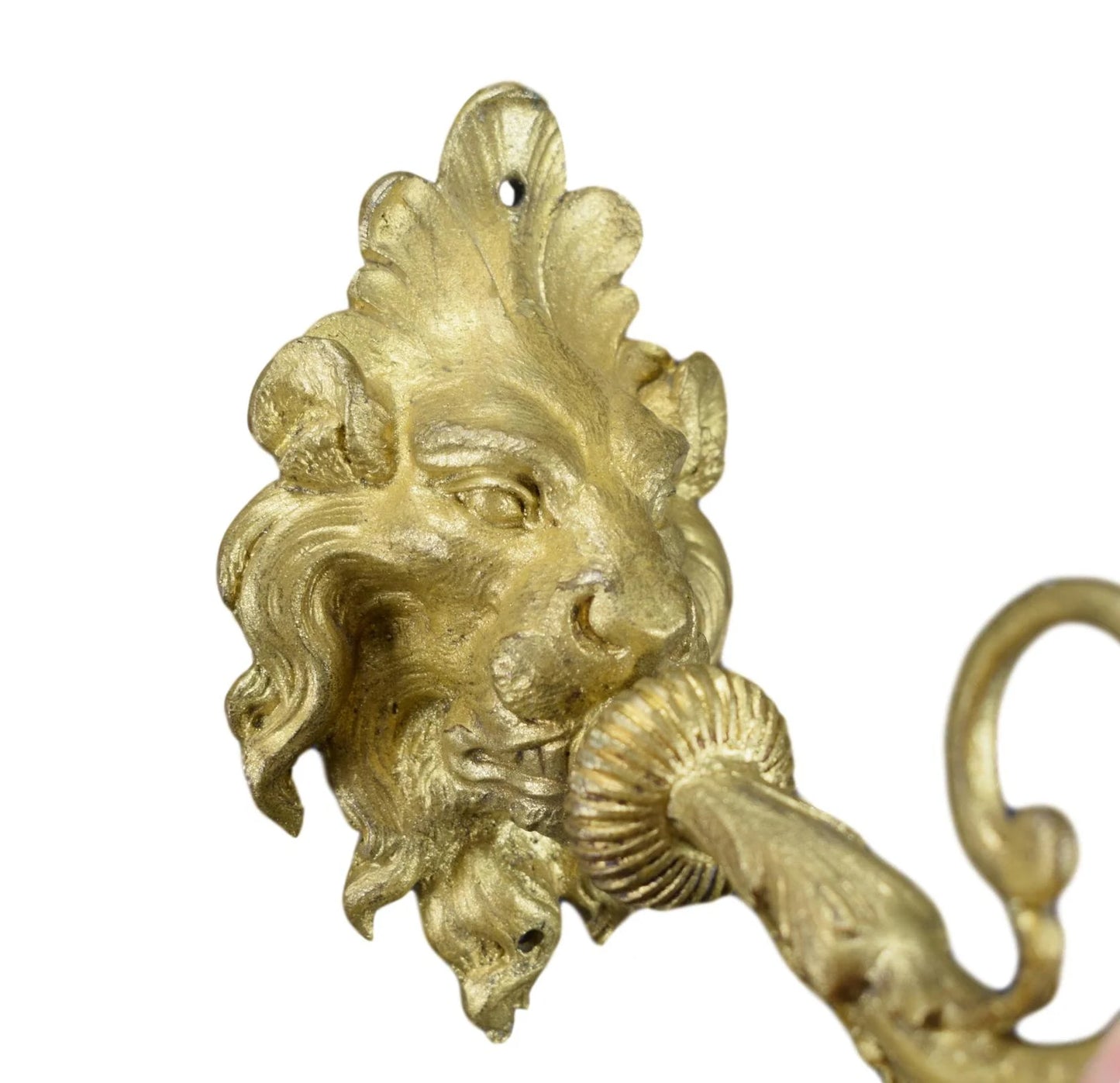 Antique French Lion Bronze Sconce – 19th Century Lighting