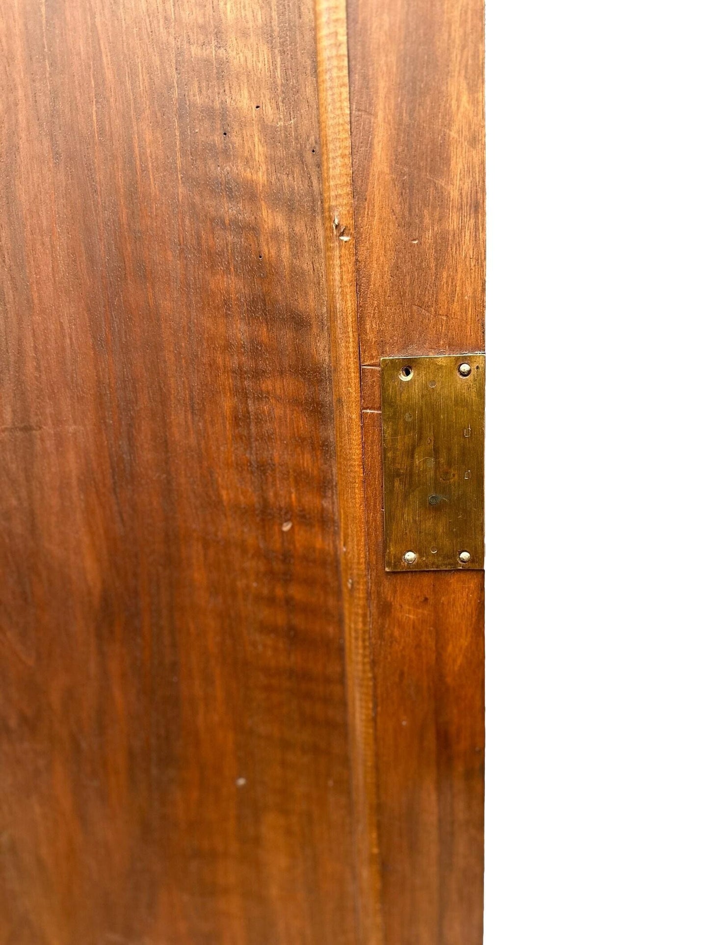 19th Large Carved Wood Cabinet Door Couple of Birds