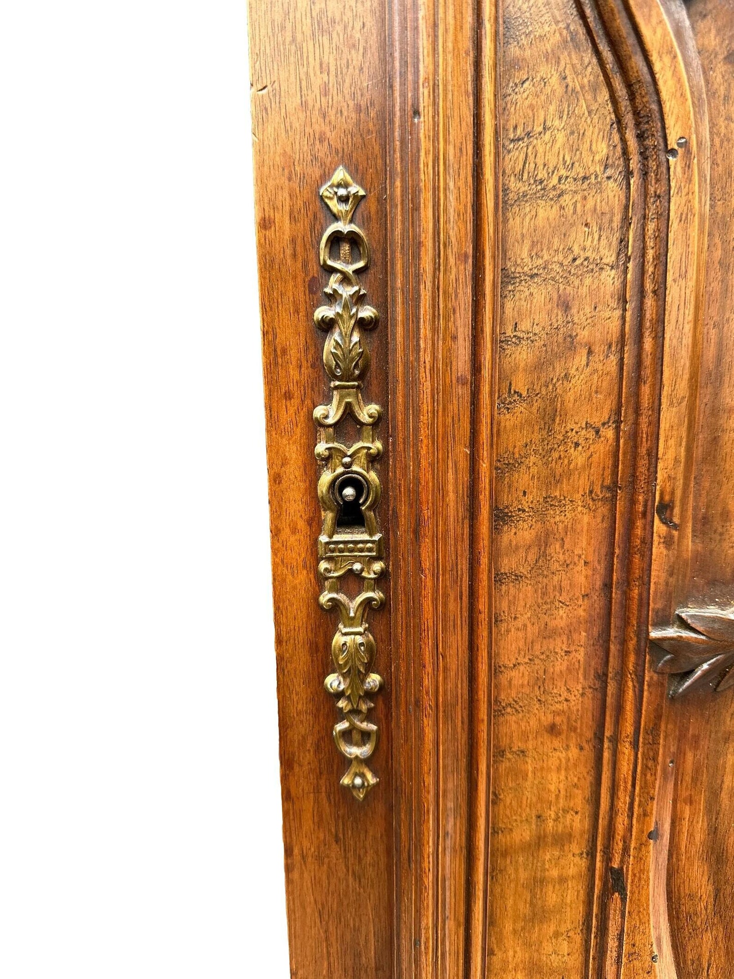 19th Large Carved Wood Cabinet Door Couple of Birds