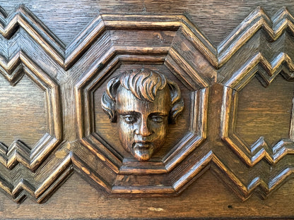 French Antique Carved Oak Wood Door