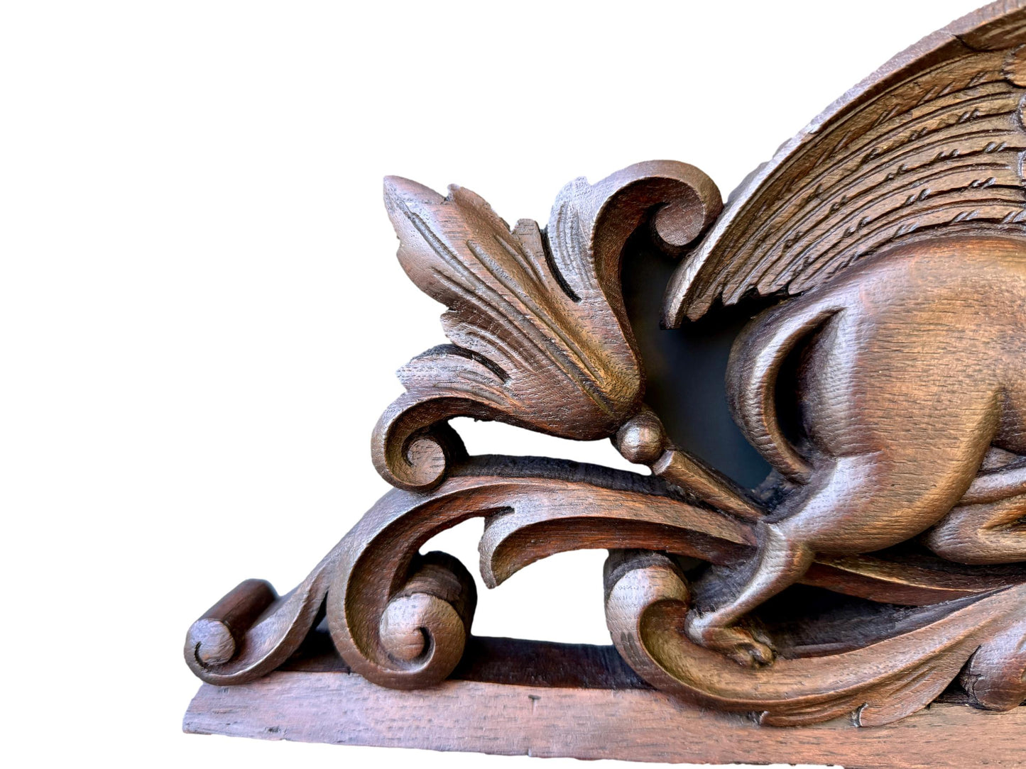 19th Century Carved Oak Pediment with Griffins – French Gothic Antique