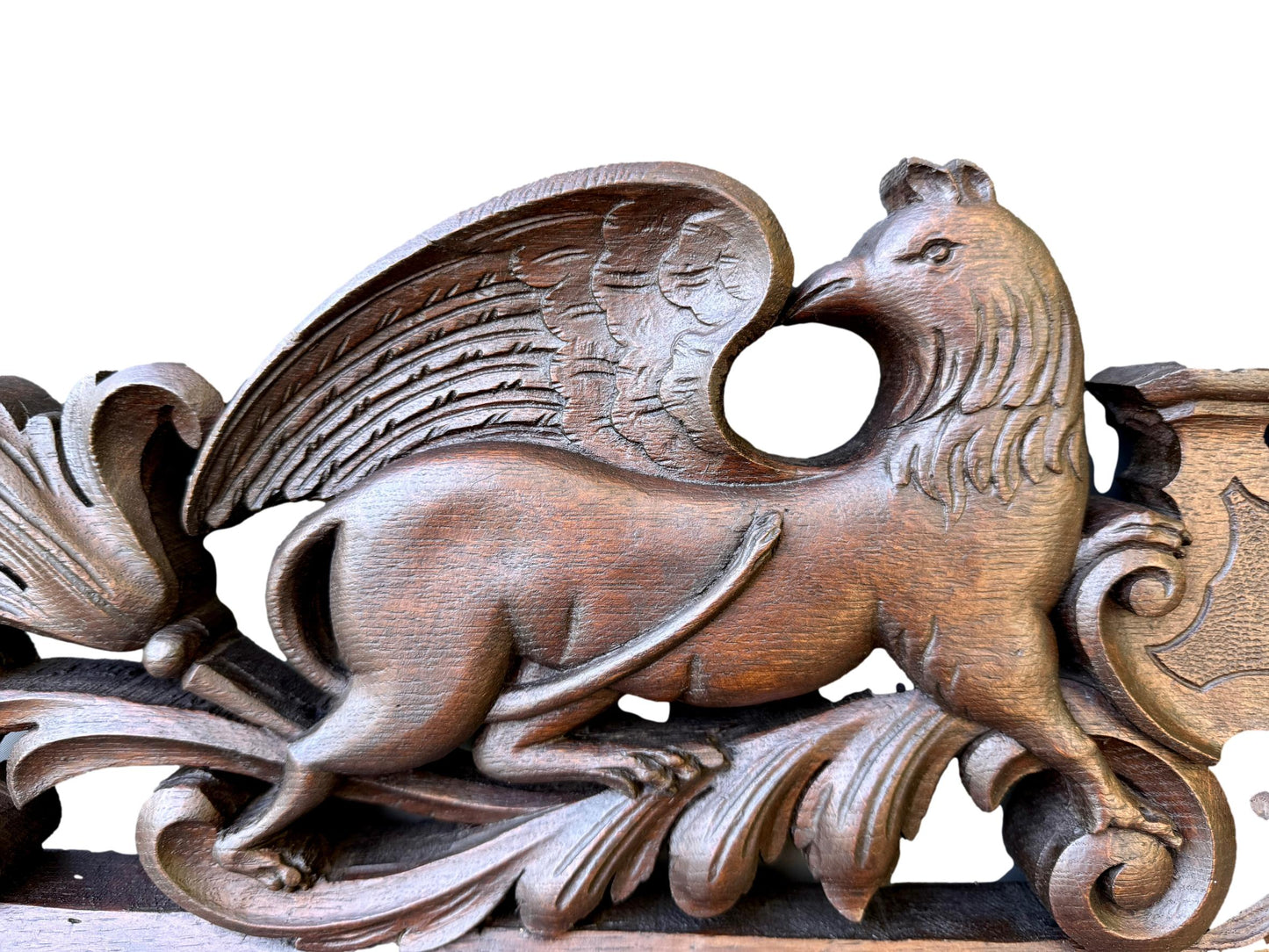 19th Century Carved Oak Pediment with Griffins – French Gothic Antique