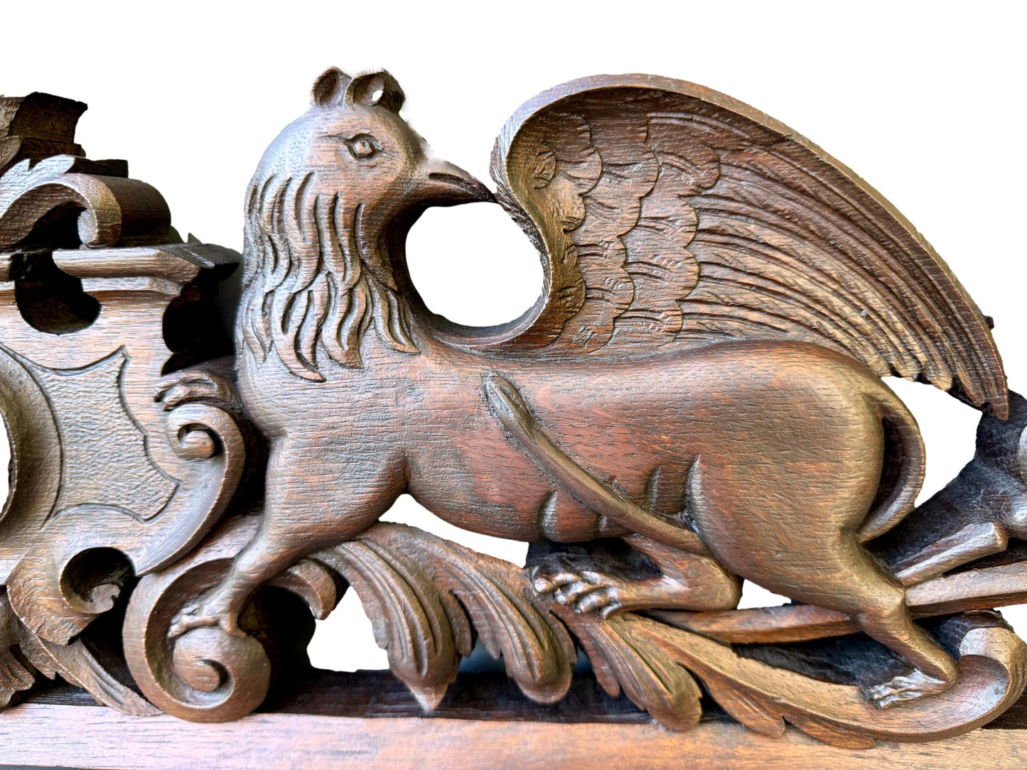 19th Century Carved Oak Pediment with Griffins – French Gothic Antique
