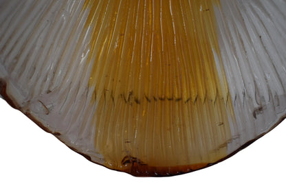 Large Murano Glass Wall Sconces – Italian Vintage Lights