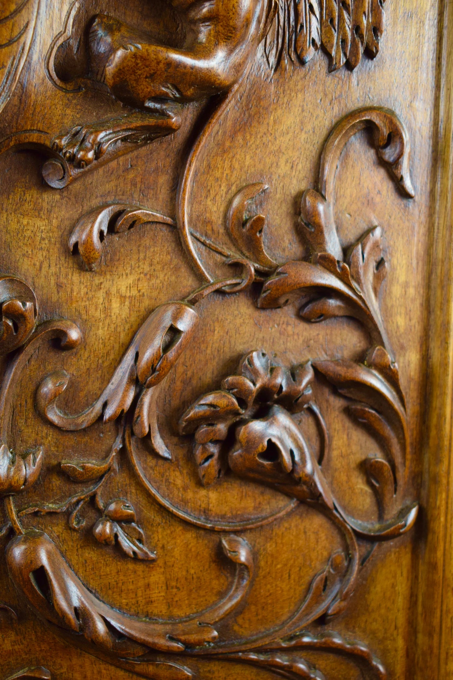 19th Antique Neo-Gothic Wood Door Griffin